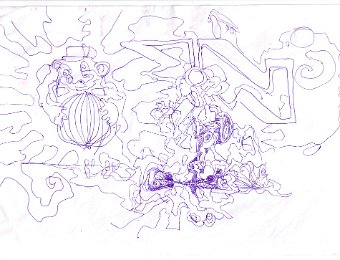 furman0021