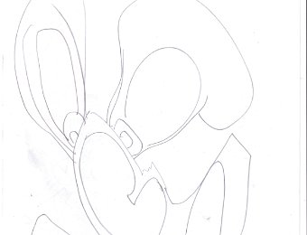 furman0026